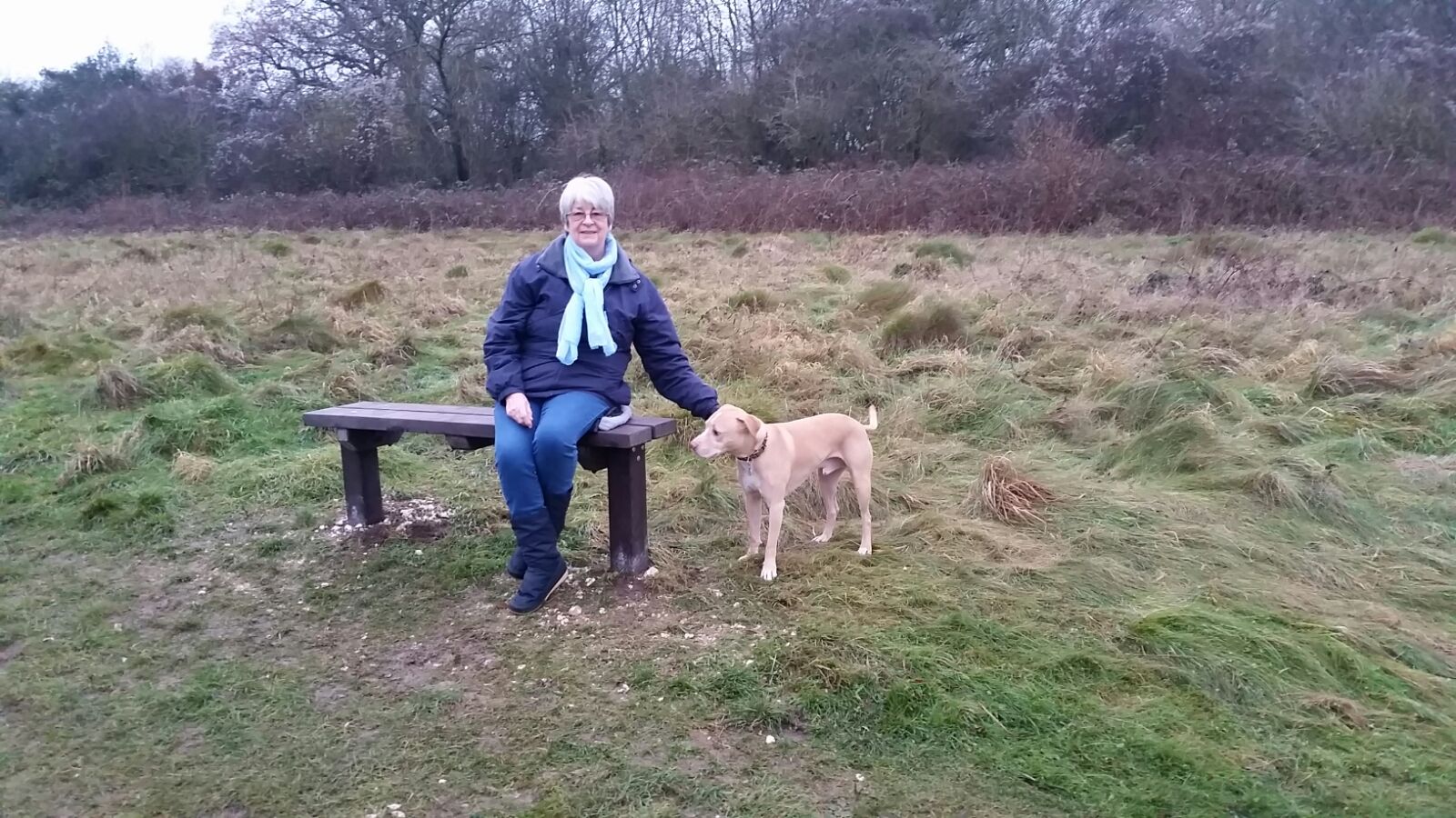 benches scratch wood